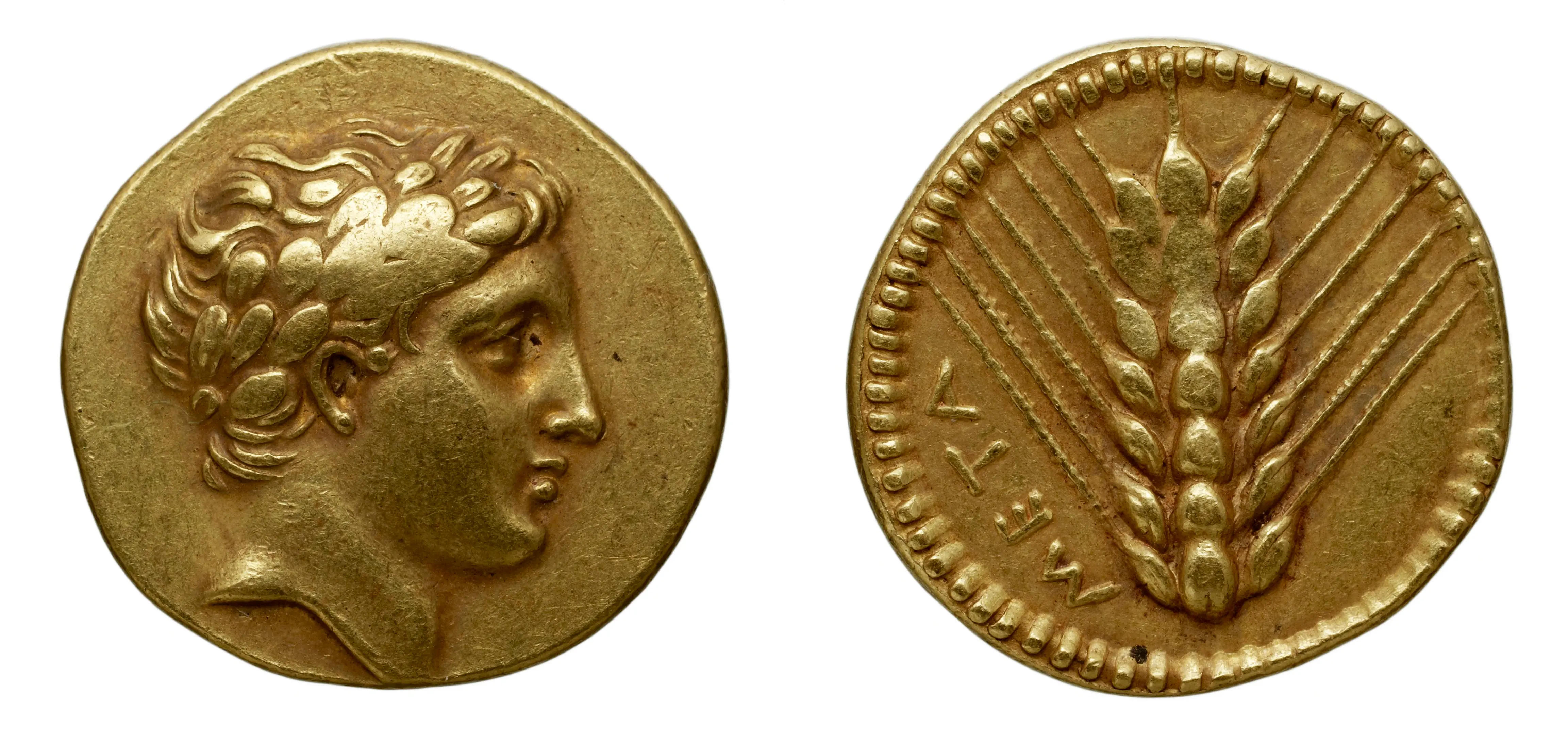 Gold coin, Lucania, Metapontum. 7.94 g.