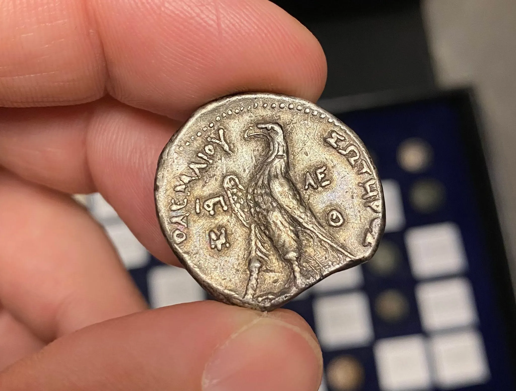 Ptolemaiovská tetradrachma ragena v Jaffě (Joppa) v roce 251/250 př. n. l., rubová strana